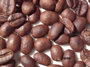 咖啡种植|一个小白如何在澳大利亚种植和烘焙咖啡