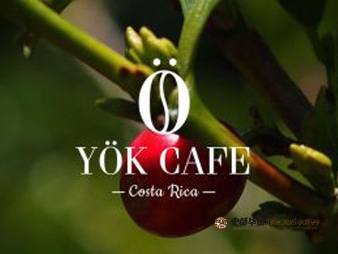咖啡店|Ariel Bravo 眼中的哥斯达黎加咖啡店文化