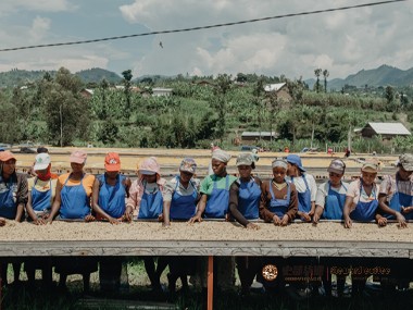 咖啡种植|卢旺达青年为何不愿意从事咖啡生产工作