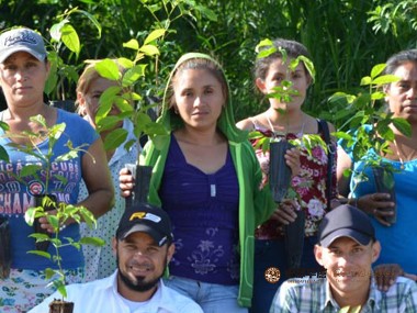 咖啡种植|为新型咖啡种植开发可持续性模式
