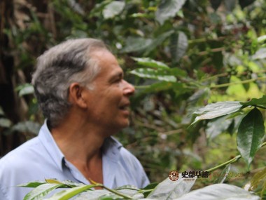 咖啡种植|气候变化如何影响咖啡种植