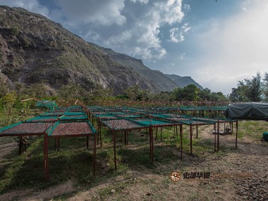 1684932965628450.jpg 图片3.jpg