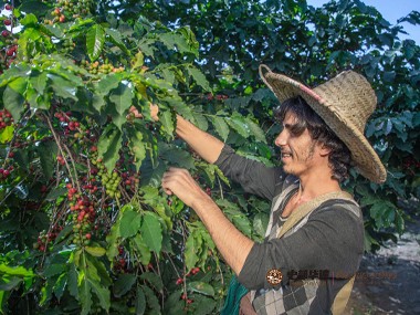 1684932977447362.jpg 图片5.jpg