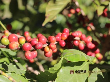 1684932997117852.jpg 图片8.jpg