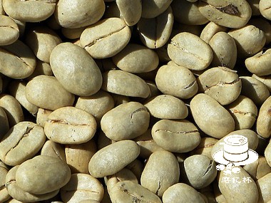 生咖啡豆可以冷冻保存吗
